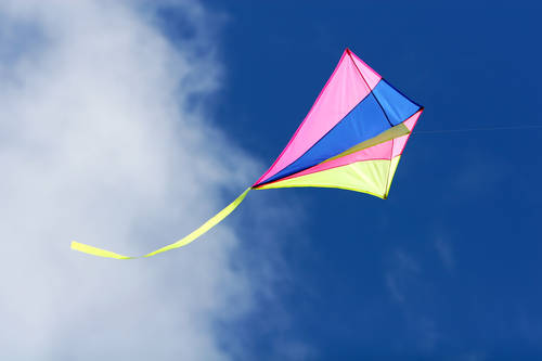 Banner Image for Postponed: Go Fly a Kite