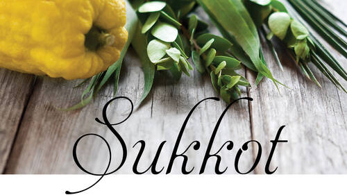 Banner Image for Sukkah Stroll Lunch